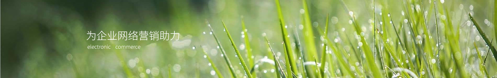 Ᵽ²޹˾